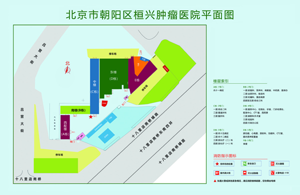 操逼大比拼操逼视频操北京市朝阳区桓兴肿瘤医院平面图